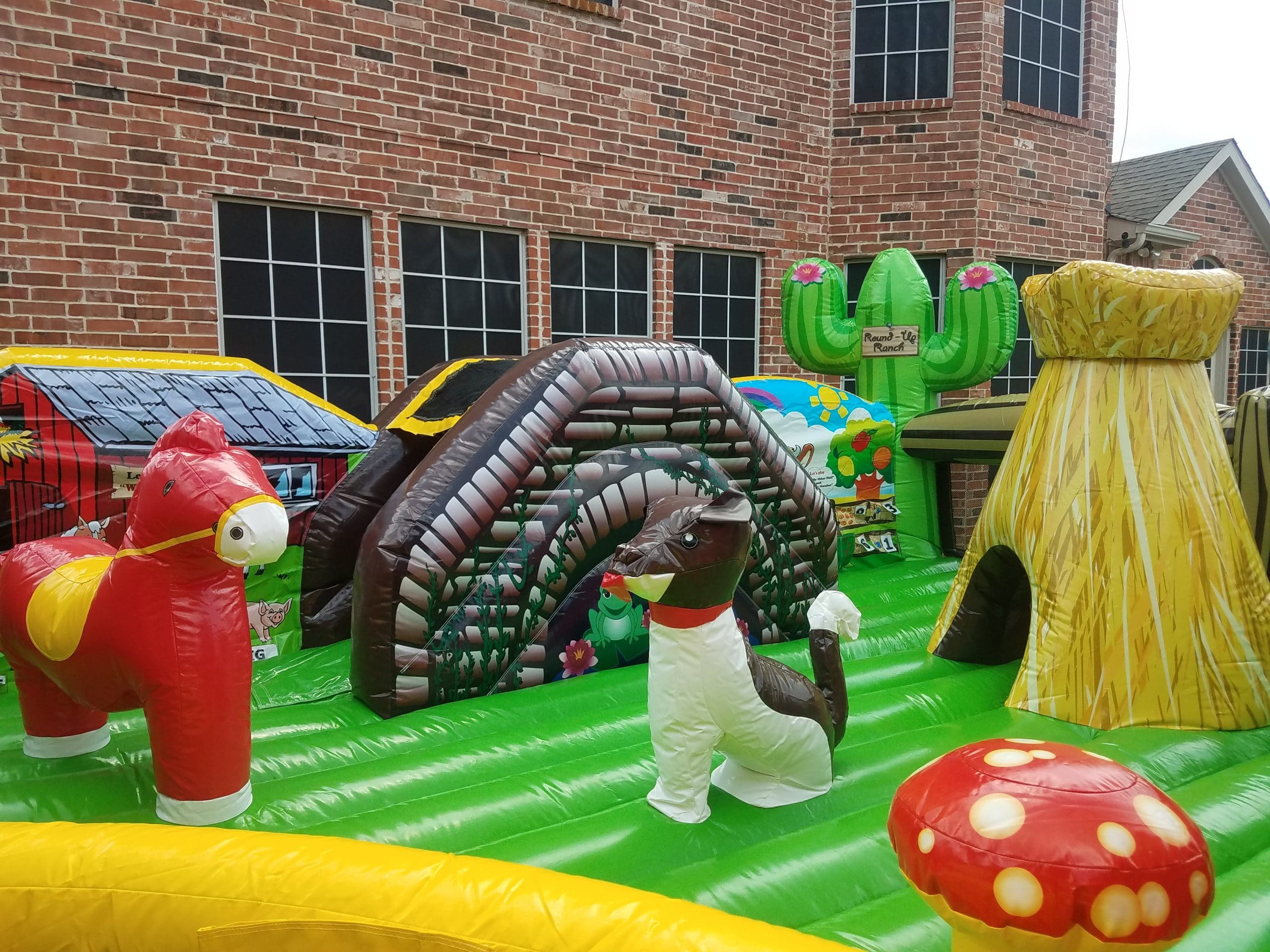 Little Elm, TX Best Bounce House Rentals - Jump City